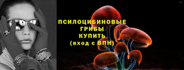 apvp Алзамай