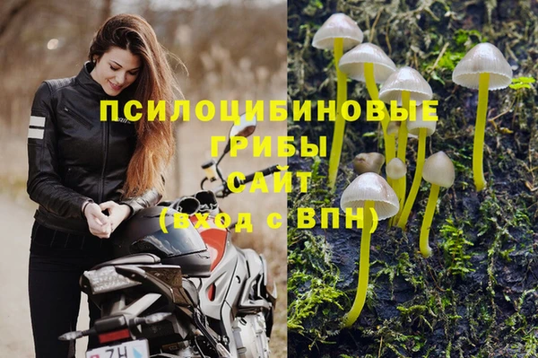 таблы Армянск