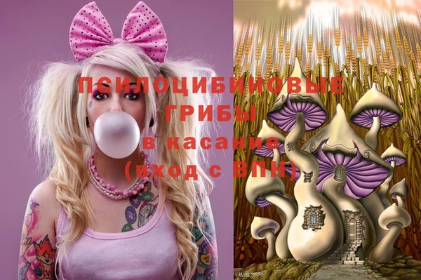 apvp Алзамай