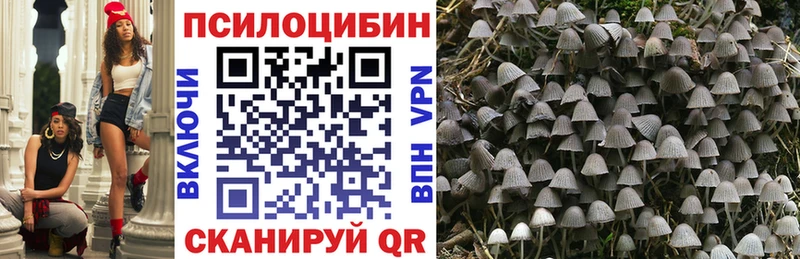 darknet формула  Набережные Челны  Псилоцибиновые грибы мицелий  что такое наркотик 