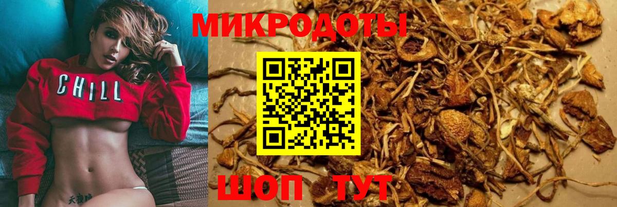 Псилоцибиновые грибы Cubensis Набережные Челны